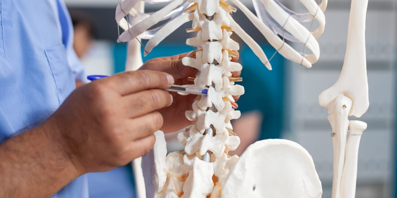 Lumbar spine fusion physical therapy protocol